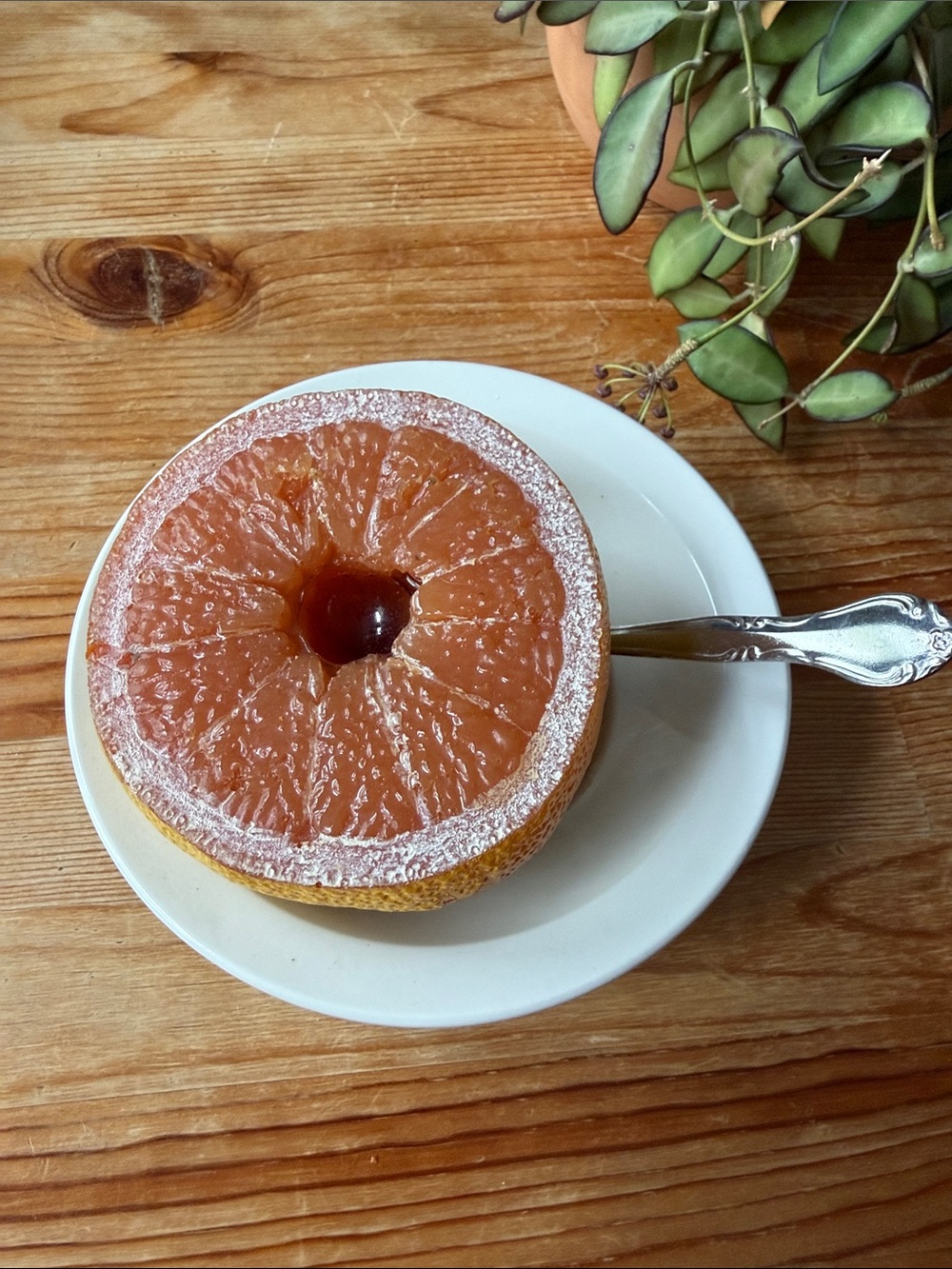 Vintage Pink Grapefruit Half on White Bowl